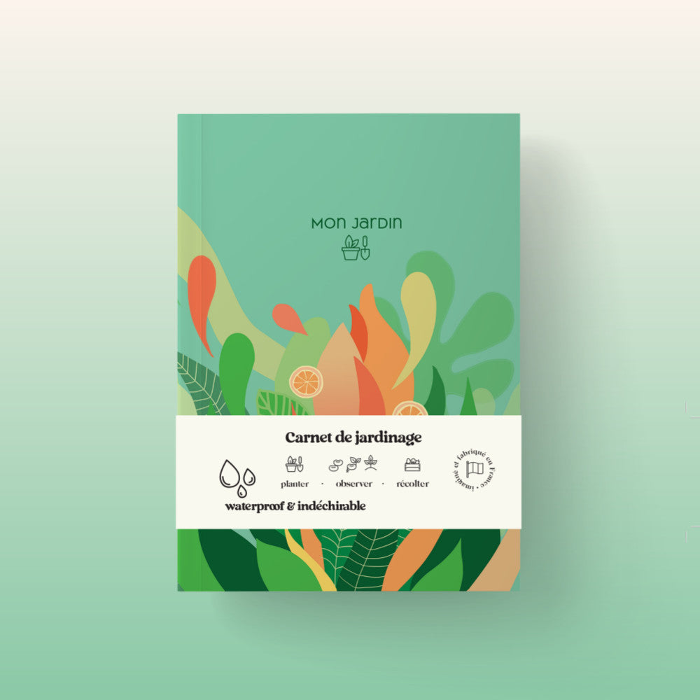 Carnet de Jardinage • Menthe